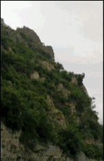 “首发额度已经抢完.了”，银行理财、基金.、保险“开门红”营销战提前打响