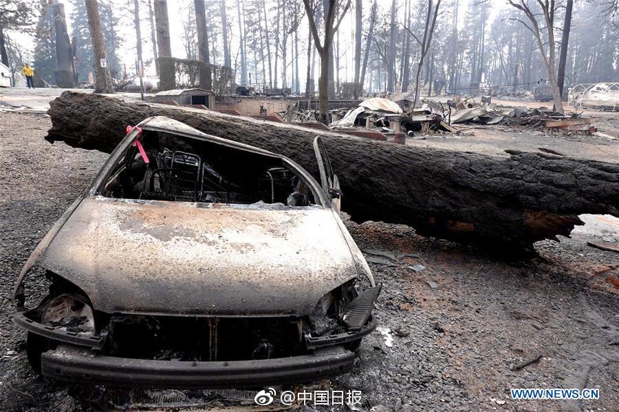 1023热?点追踪：鸡蛋绝地反弹，关注合约选择！