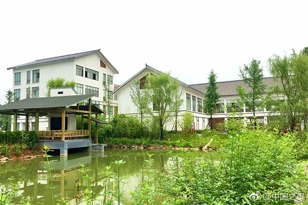 上能电:气：2025年前三季度归属于上市公司股东的净利润同比增长2.99%