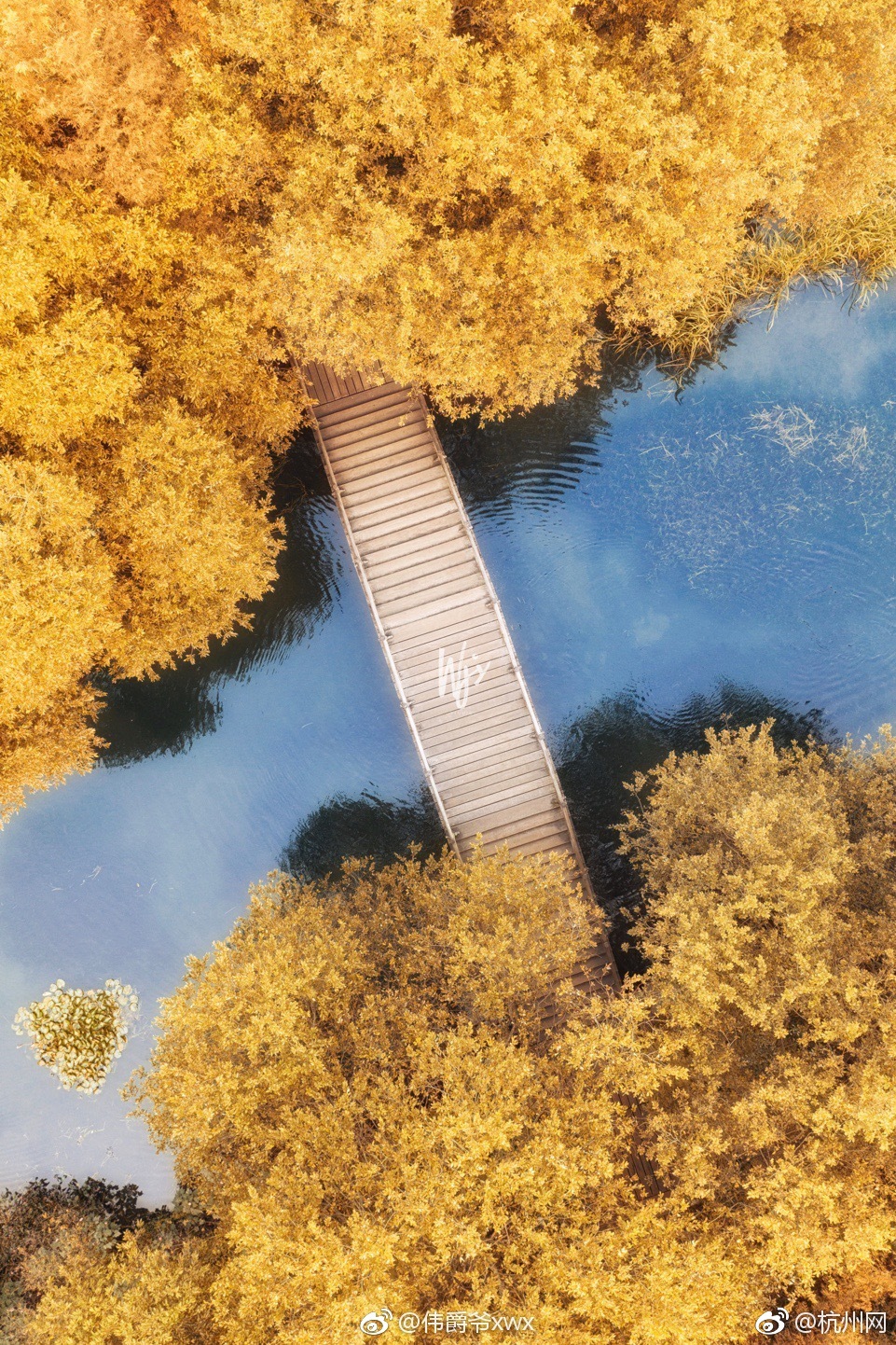 邦—达亚洲<:>避险买盘涌入 美元指数突破99.00关口