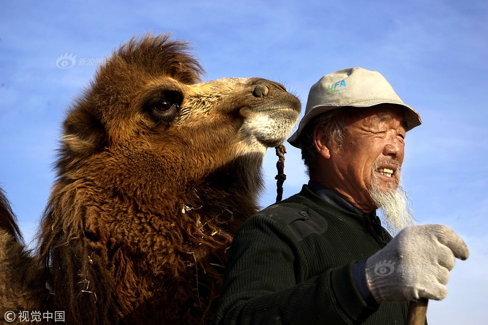 瑞德智能<：>目<前>公司尚未涉足跟布局aigc领域