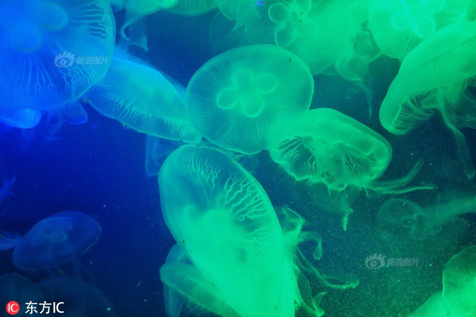 e—tf日报：仍值得关注美元指数走弱背景下a股成长板块、港股及黄金的配置机会