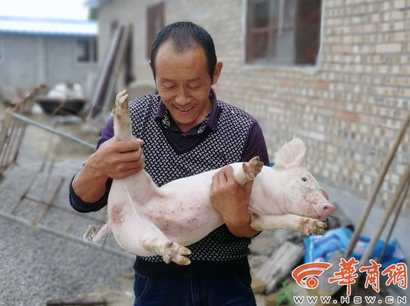 三七互.娱（?002555）收到证监会处罚事先告知，上海易连（600836）索赔案持续推进