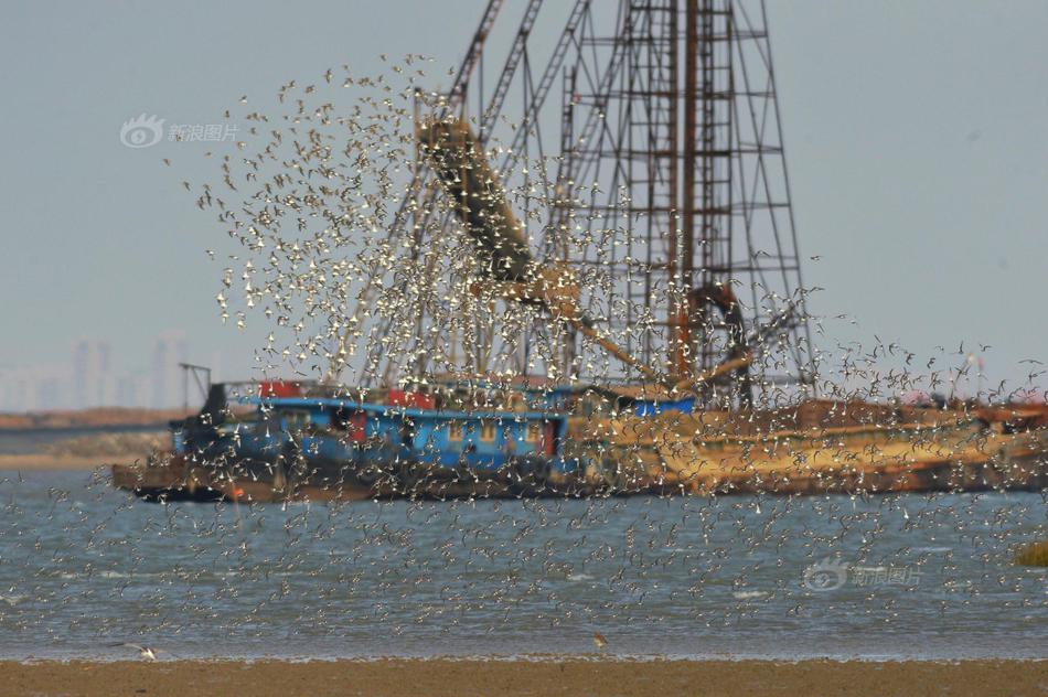 *st宇顺录得!9<天>7板