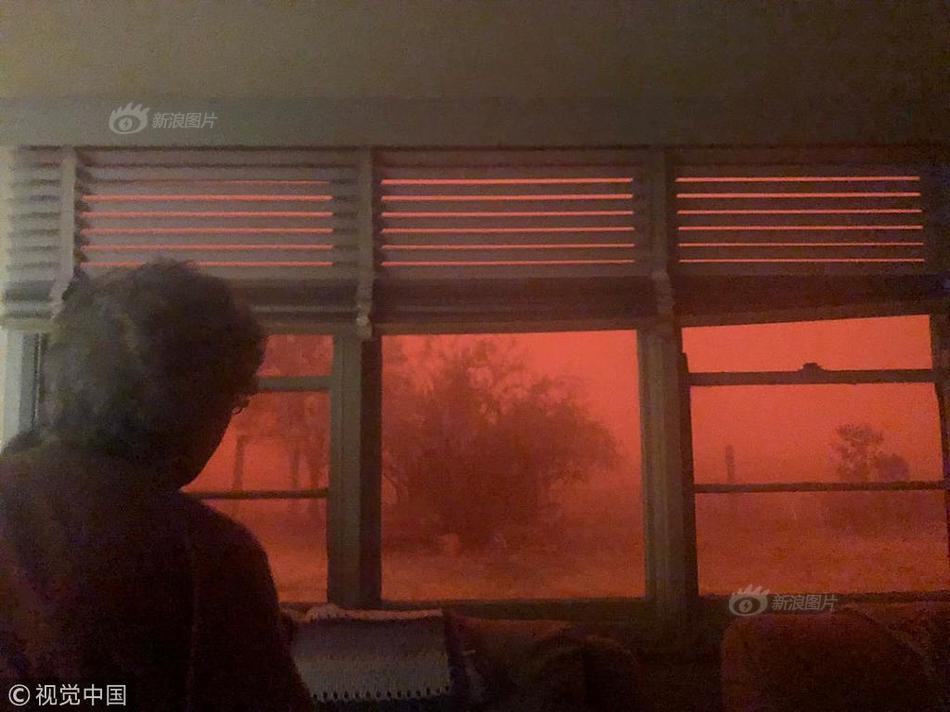 韩国7月<i>ct出口同比增长14.5%，芯片出口创历史新高