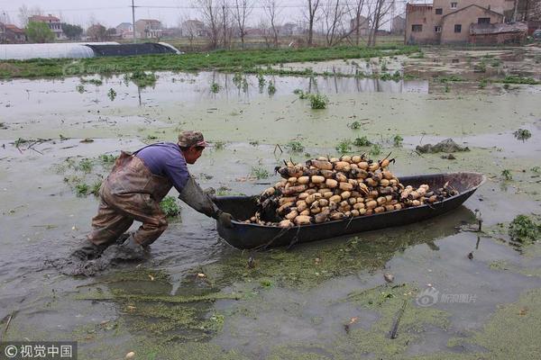 新‘华’银保渠道的核心竞争力是什么？新华保险副总裁王练文：根、魂、能