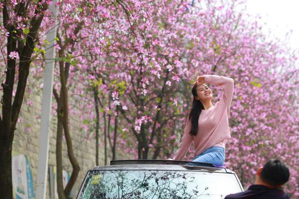 猪:肉股午后持续调整，邦基科技一度跌近9%