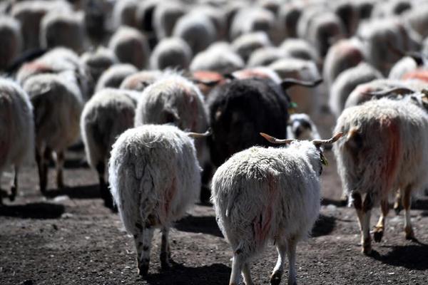 金融!监管总局局长李云泽：加快推进金融强国建设