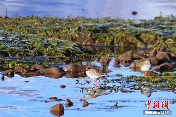 造富雪道｜鸣,鸣很忙与万辰集团的赛跑 巨头角逐“港交所量贩零食第一股”
