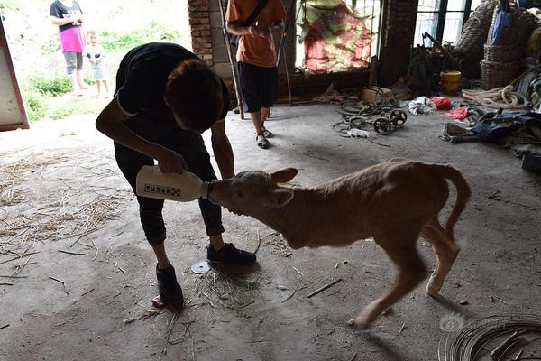 美国,债市：国债在亚马‘逊’大额发债定价前维持小涨