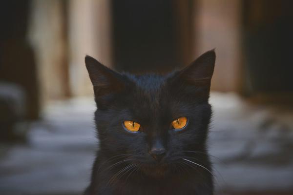 赛微?电子：股价波动受到多种因素影响