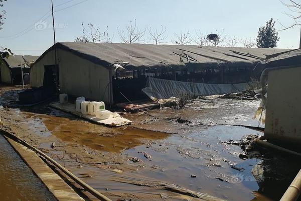 【券!商<聚>焦】华泰证券指8月反内卷推升电商快递行业景气