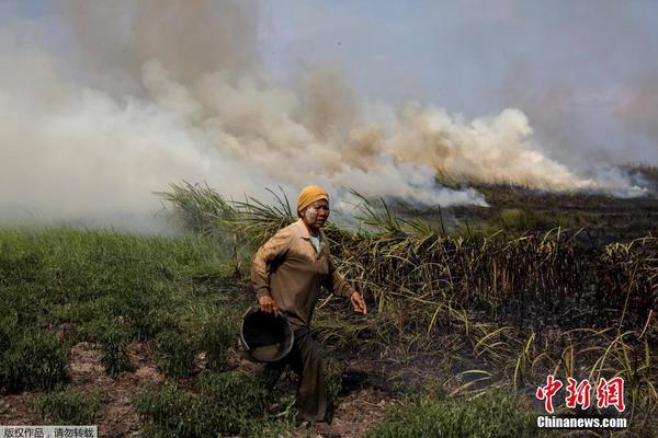 天,誉置业接获:联交所额外复牌指引 继续停牌
