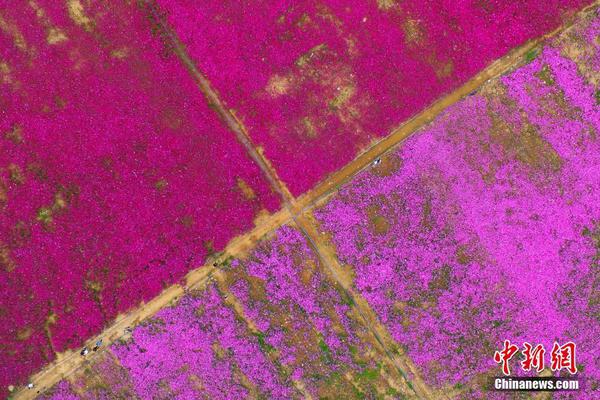 学大教育2025年:三季度净利润同比下降89.9%