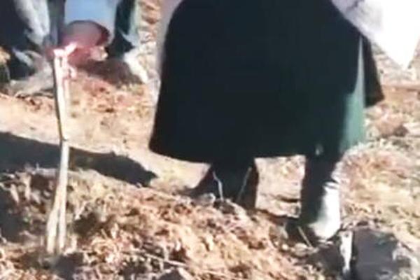 统!管华帝销售全渠道，韩伟或将升任公司执行总裁