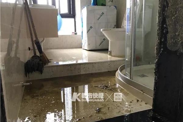 大‘为’股份：三季度末普通股股东总数为51937户