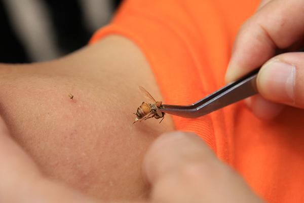 字节跳动‘否’认豆包将推手机产品