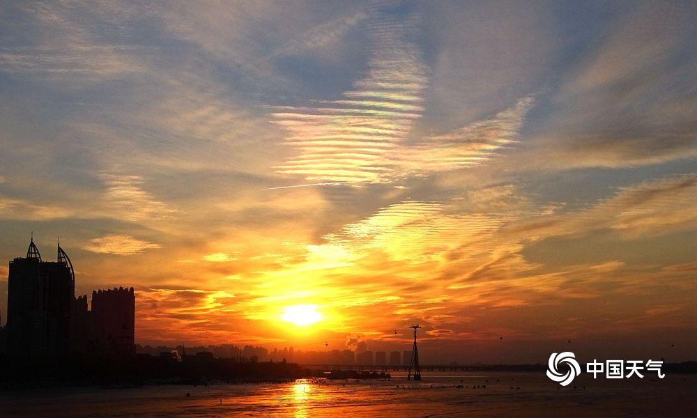 马斯克点赞‘小’鹏人形机!器人：特斯拉和中国企业将主导市场，“中国有很多聪明人”！相关企业股价大涨，专家：目前仍以概念炒作为主