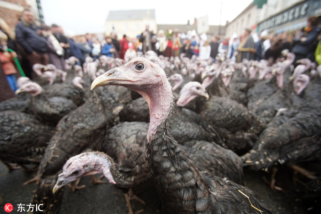 一‘方’面大力收缩援外项目，一方面200亿驰援阿根廷，特朗普政府打的是什么算盘