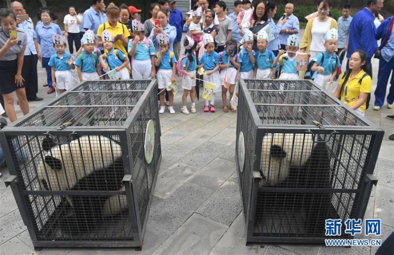 7月黑猫投诉游戏领域红黑榜：燕云十{六}声抽奖以次充好