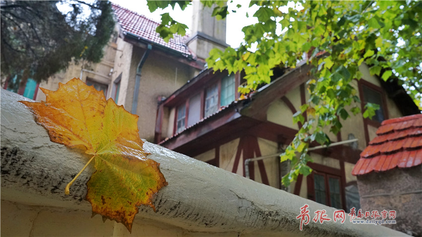 搭建起全—球资源联动的桥梁 从进博会看供应链上的金融“枢纽”