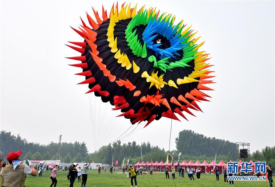 中;顺洁柔已回购2459万股 金额1.87亿元