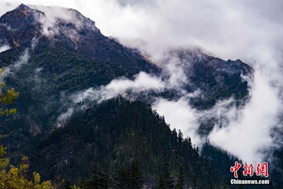 哈尔斯:定增提交—注册 拟募集资金7.50亿元