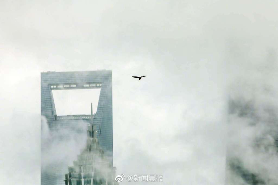 市监,总局答澎湃：已建成经营者集中反垄断监管全链条业务系统