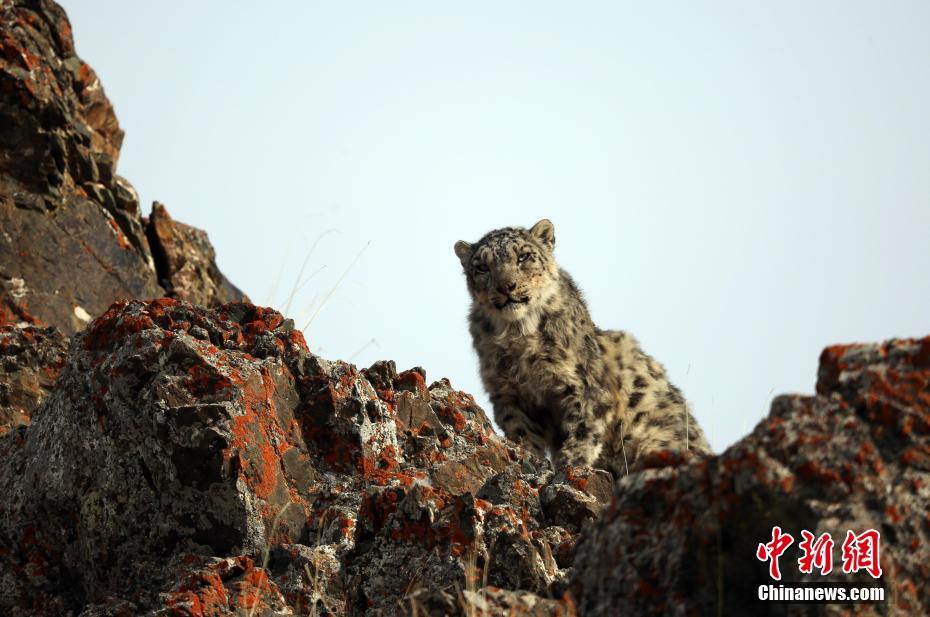 10月09日—大豆油8512.00元/吨 5天上涨3.58%