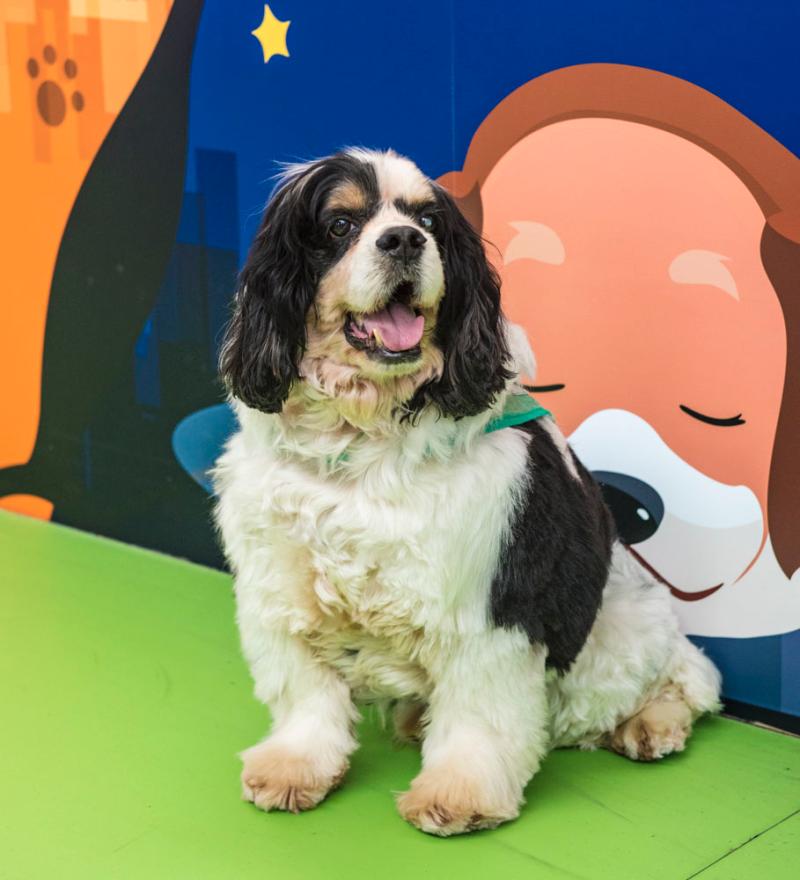 研奥股份：!截.至2025年10月20日公司含信用账户合并名册总户数为8263户